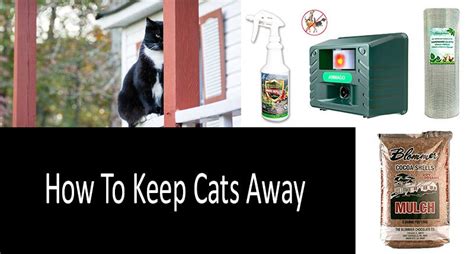 devices to scare cats away.